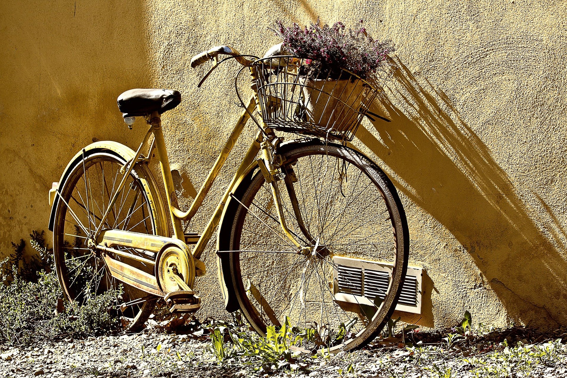 bike-190483_1920